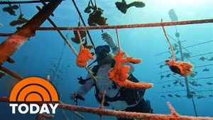 Video post by @today on YouTube
