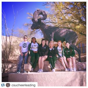 Image post by @csuathletics on Instagram