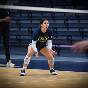 Image post by @gtvolleyball on Instagram