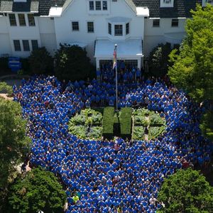 Image post by @hofstrau on Instagram