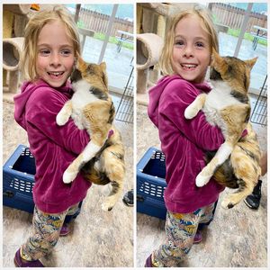 Image post by @spokhumanesoc on Instagram