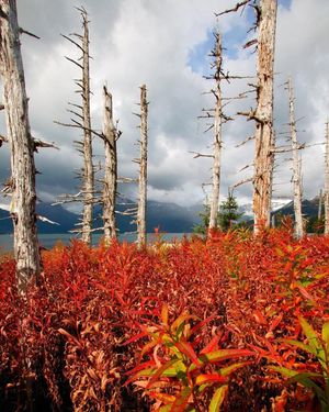 Image post by @nationalparkservice on Instagram