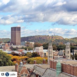 Image post by @yalevolleyball on Instagram