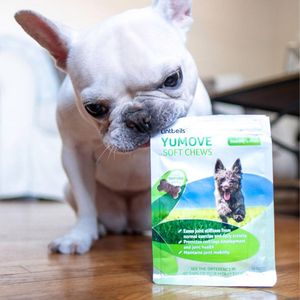 Image post by @yumove_usa on Instagram