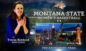 Image post by @msubobcatswbb on Instagram