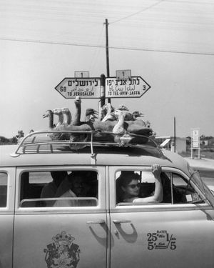 Image post by @joiceglobal on Instagram