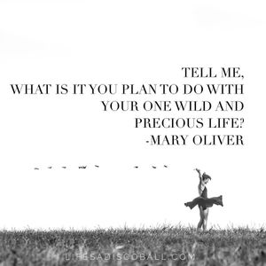 Image post by @lifesadiscoball on Instagram