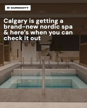 Image post by @curiocitycalgary on Instagram
