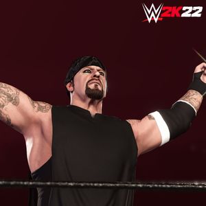 Image post by @wwegames on Instagram