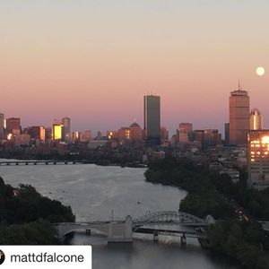 Image post by @terrierswimdive on Instagram