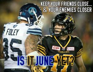 Image post by @torontoargos on Instagram