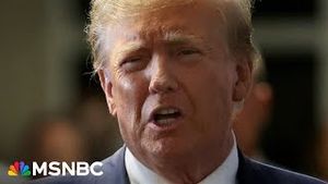 Video post by @msnbc on YouTube