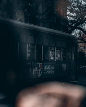 Image post by @tielerfriedline on Instagram