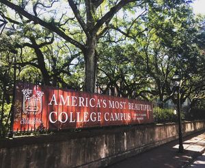Image post by @collegeofcharleston on Instagram