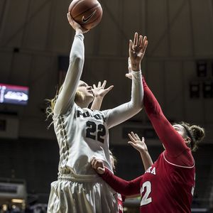 Image post by @purduewbb on Instagram