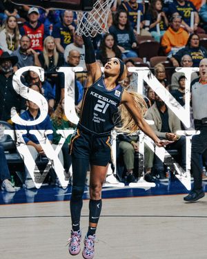 Image post by @ConnecticutSun on Twitter