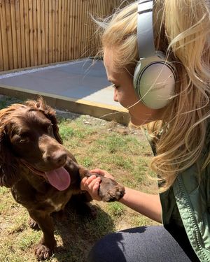 Image post by @bose on Instagram