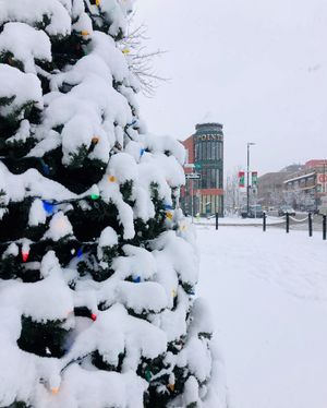 Image post by @cityofcalgary on Instagram
