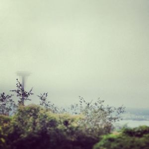 Image post by @amandakl on Instagram