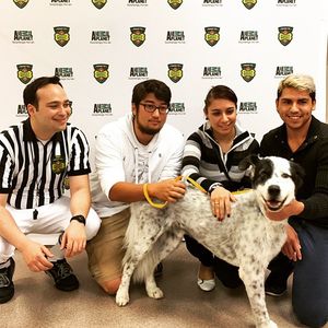 Image post by @animalplanet on Instagram