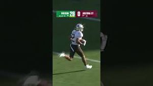 Video post by @cfbonfox on YouTube