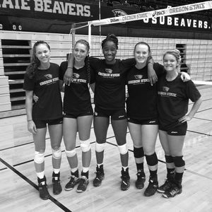 Image post by @beavervball on Instagram