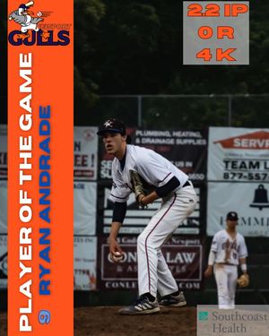 Image post by @newportgulls on Instagram
