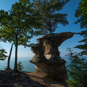 Image post by @michiganstateu on Instagram