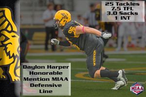 Image post by @griffonfootball on Instagram