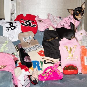 Image post by @parishilton on Instagram