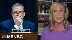 Video post by @msnbc on YouTube