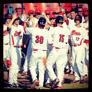 Image post by @isuredbirds on Instagram