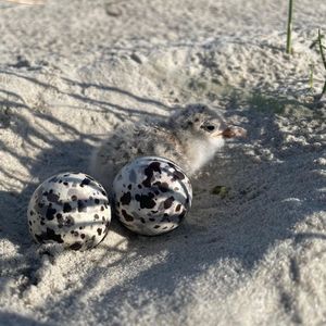 Image post by @nationalparkservice on Instagram