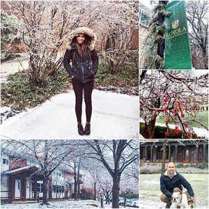 Image post by @loyolamaryland on Instagram