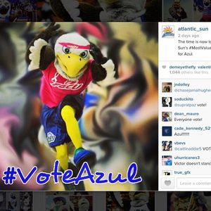 Image post by @fgcuathletics on Instagram