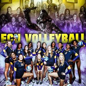 Image post by @ecuvb on Instagram