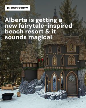 Image post by @curiocitycalgary on Instagram