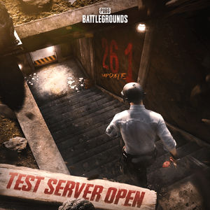 Image post by @PUBG on Twitter