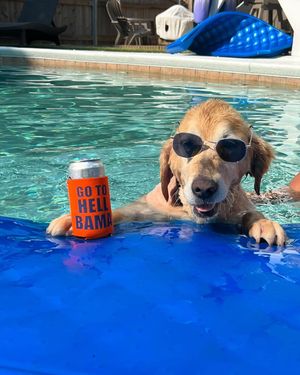 Image post by @oldrowwareagle on Instagram