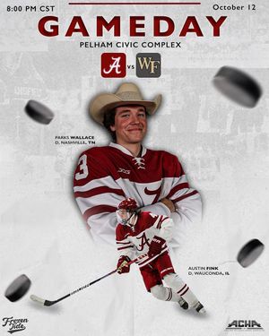 Image post by @alabamahockey on Instagram