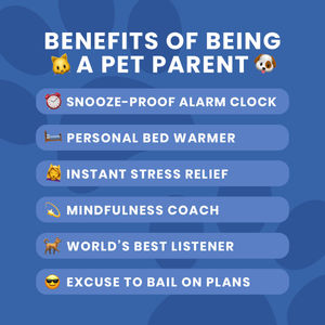 Image post by @bluebuffalo on Instagram