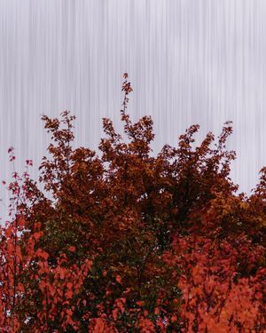 Image post by @amy.kennedy.photos on Instagram