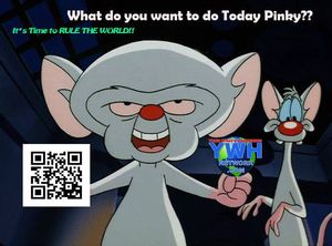 Image post by @MyMidwestLockedin on Facebook