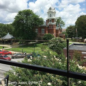 Image post by @mccraystavernlawrenceville on Instagram