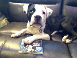 Image post by @brantleygilbert on Twitter