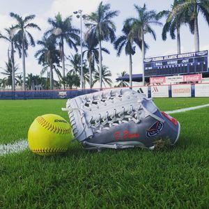 Image post by @fausoftball on Instagram