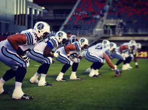 Image post by @torontoargos on Instagram