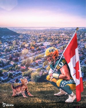 Image post by @goelks on Instagram