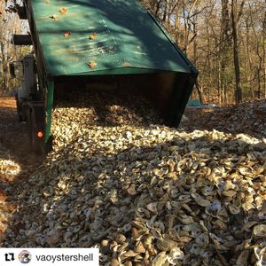 Image post by @toadfishoutfitters on Instagram