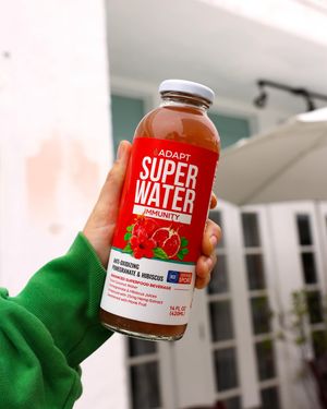 Image post by @adaptsuperwater on Instagram